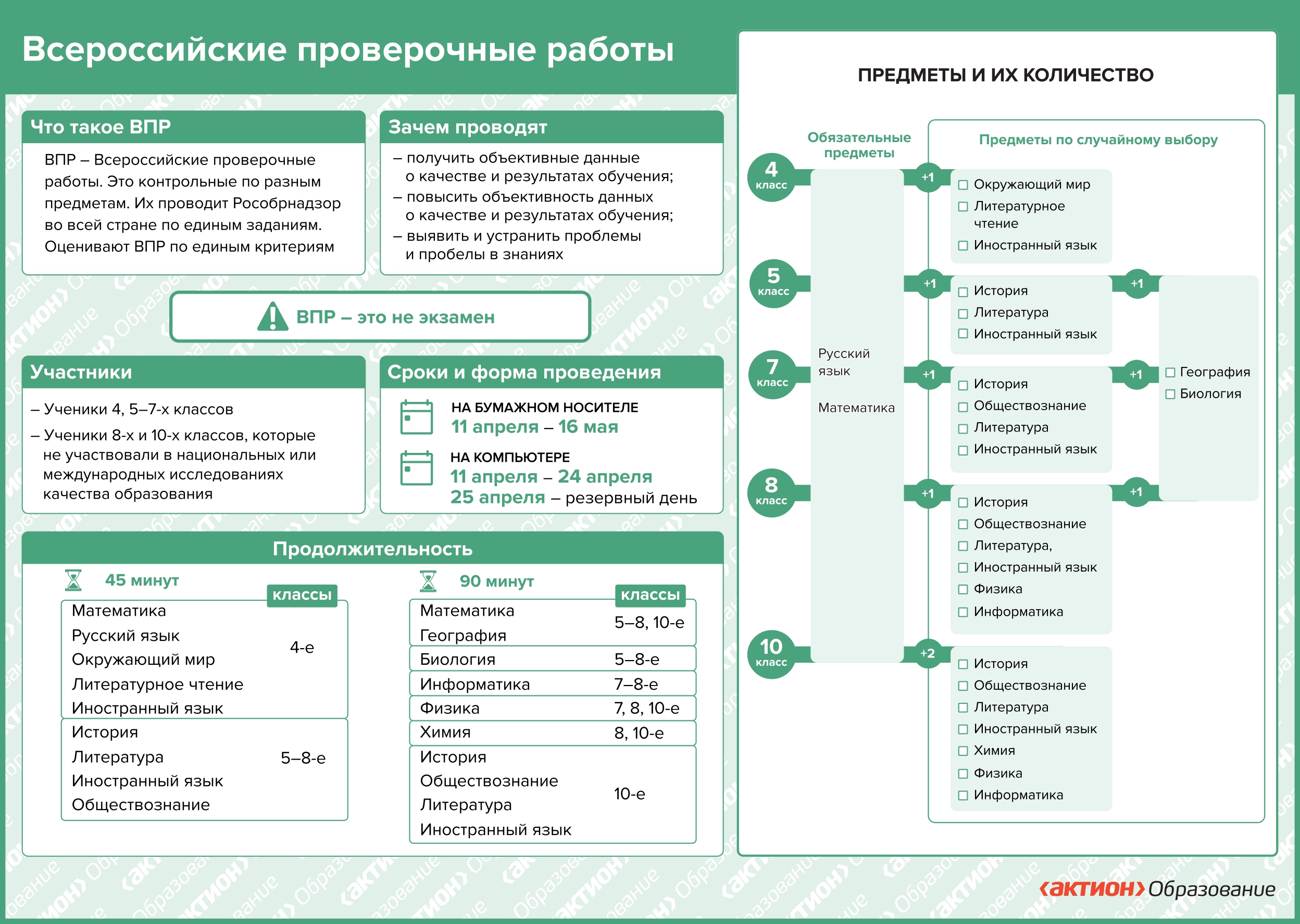 ВПР 2024.
