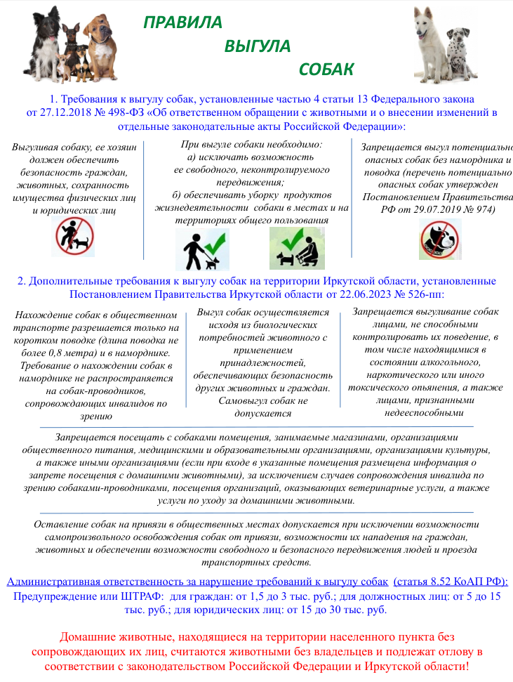 Правила выгула собак.